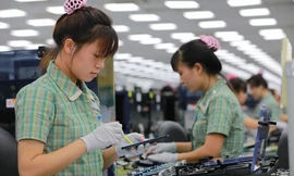 Nhóm máy vi tính, sản phẩm điện tử và linh kiện tăng trưởng mạnh trong 10 tháng năm nay.