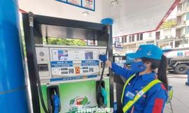 Bán xăng E10 trên toàn quốc từ 1/6/2026