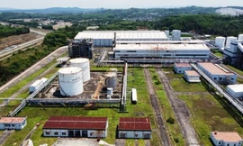 Triển khai xăng E10: Canh bạc mạo hiểm với các dự án ethanol ‘đắp chiếu’?