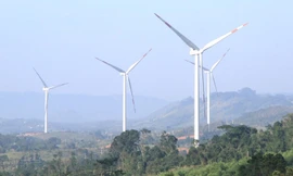 NSMO lên tiếng việc cắt giảm đột ngột công suất dự án điện gió Quảng Trị
