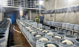 Nghịch lý tiêu chuẩn kép nông sản Việt - kỳ 5: Báo động về an toàn thực phẩm