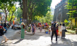 Miền Bắc bước vào chuỗi ngày thu đẹp