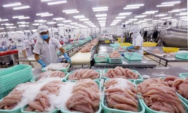 Nghịch lý tiêu chuẩn kép nông sản Việt - kỳ 2: Thủy sản lép vế trên sân nhà