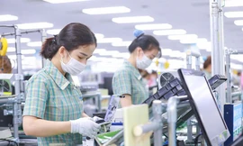 Xuất nhập khẩu đạt kỷ lục, 2 tỉnh trở thành 'ngôi sao' sau sáp nhập