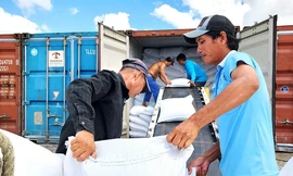 Philippines 'phanh gấp' nhập khẩu, gạo Việt chuyển hướng không ngờ