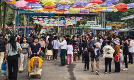 Công đoàn ủng hộ hoán đổi ngày làm việc để nghỉ Tết Dương lịch 4 ngày