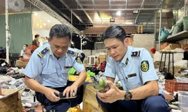 Phát hiện hơn 15.500 vụ hàng giả, hàng lậu trong 9 tháng