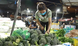 Nghịch lý tiêu chuẩn kép nông sản Việt - kỳ cuối: Nội địa bài bản, thế giới mới tin 