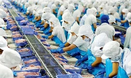Xuất khẩu thủy sản sang Mỹ biến động do ‘ngấm’ thuế đối ứng