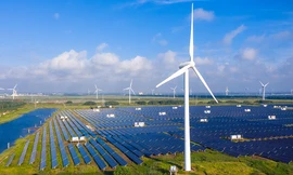 Mua bán điện trực tiếp: Điều doanh nghiệp cần nhất không phải là giá rẻ!