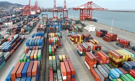 Tin mới nhất về gần 500 container chè Việt Nam ách tắc tại Pakistan 