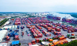 Gần 500 container chè Việt Nam ách tắc tại Pakistan