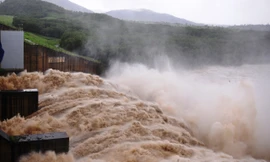 Công ty Thủy điện Sông Ba Hạ tạm thay đổi nhân sự điều hành 