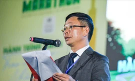 Giải Tiền Phong Half Marathon lan tỏa tinh thần sống tích cực