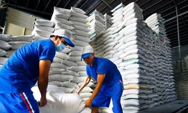 Đề xuất đánh giá tín nhiệm doanh nghiệp xuất khẩu gạo