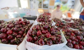 Rau quả Mỹ về Việt Nam bất ngờ tăng mạnh