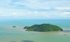 Cà Mau chuyển gần 10ha rừng phòng hộ để làm đường ra đảo Hòn Khoai