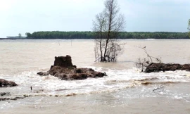 Những phận người 'chạy sóng' ở Trảng Tràm