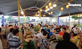 Đi tìm 'vua cua' gây sốt du lịch Cà Mau 