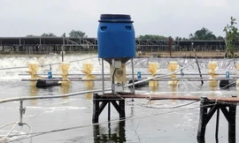 Phát hiện chồng và con nuôi tử vong dưới ao tôm