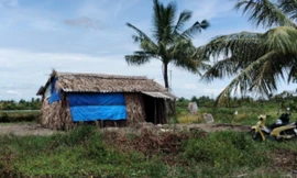 Cà Mau trao 'cần câu' cho người nghèo