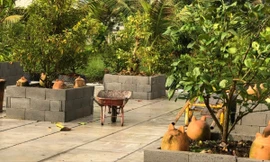 Giám đốc hãng phim Tây Nam phải nộp lại hơn một nghìn đồng thu lợi bất chính