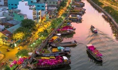 Lên lịch vi vu Chợ hoa Xuân Trên bến dưới thuyền 2026 với các hoạt động hấp dẫn