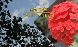 Hà Nội rải rác có mưa, sáng trời rét