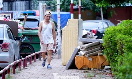 Nguyên nhân nhiều vườn hoa Thủ đô xuống cấp