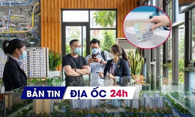 Địa ốc 24H: Nhà đất ngoài đê 'đóng băng' vì lo vướng quy hoạch đại dự án; lộ DN bất động sản nợ thuế 'khủng'