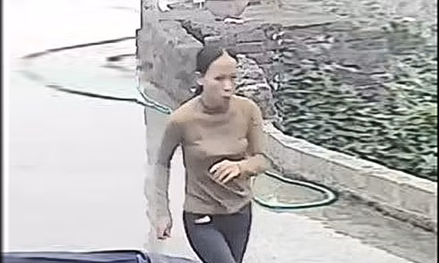  Tập trung tìm kiếm người phụ nữ vào rừng rồi mất tích bí ẩn ở Ninh Bình