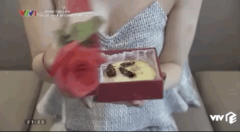 Hóa ra là thứ ai cũng sợ! Hóa ra là thứ ai cũng sợ!