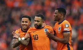 Nhận định vòng loại World Cup 2026 Hà Lan vs Ba Lan, 1h45 ngày 5/9: Cơn lốc da cam tiếp đà hủy diệt