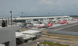 Phát hiện buôn lậu hơn 2.500 con rùa tai đỏ qua đường hàng không