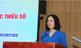 Tăng cường năng lực cho người thực hiện trợ giúp pháp lý cho nạn nhân bạo lực gia đình, người dân tộc thiểu số