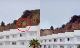 Sạt lở ập xuống khách sạn, nhiều người hoảng loạn tháo chạy