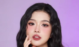 Nghệ sĩ Việt bị ghẻ lạnh