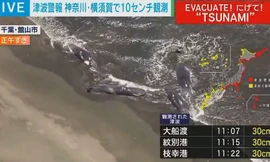 Động đất ở Nga đánh dạt 4 con cá voi khổng lồ vào bờ biển Nhật Bản