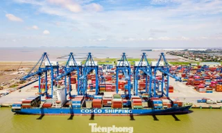 Việt Nam đang trở thành điểm sáng trên bản đồ hàng hải quốc tế 