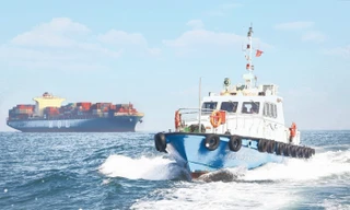 Tàu biển mang cờ Việt Nam được giảm phí vận tải