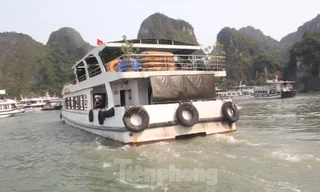 Các tàu du lịch hoạt động trên vịnh Hạ Long. Ảnh: Lộc Liên.