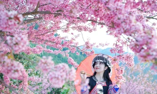 Lễ hội hoa Tớ Dày, mùa xuân của người H’Mông đang đến gần ở Mù Cang Chải