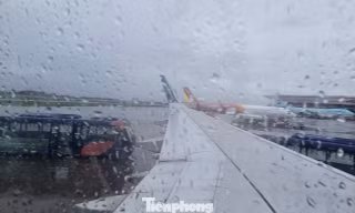 Bão Bualoi gây xáo trộn hơn 450 chuyến bay 