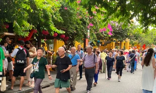 Lý do khách quốc tế nườm nượp đến Việt Nam 