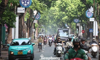 Việt Nam chuyển taxi chạy xăng dầu sang điện: Bài học, kinh nghiệm các nước thế nào?