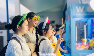 Trai xinh gái đẹp 'mỏi tay' bắt gấu tại Sóng Festival