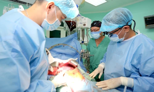Bốn ca ghép tủy, gan và tim thành công liên tiếp tại Bệnh viện Trung ương Huế