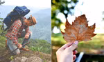 Vì sao nhiều người dặn không nên mang bất cứ thứ gì từ rừng, núi về nhà?