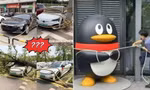 Hình ảnh ô tô được buộc dây ở Trung Quốc để chống bão Ragasa: Sự thật là gì?
