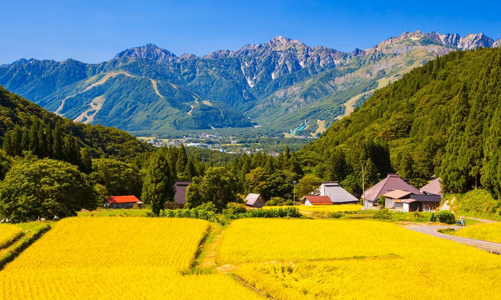 Mọi người đều được chào đón ở làng Hakuba